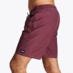 BRAND SWIM BOARDSHORT MYSTIC - Image 4