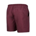 BRAND SWIM BOARDSHORT MYSTIC - Image 2