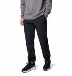 COLUMBIA BLACK MESA WARM PANT 2095061-010 - Image 2
