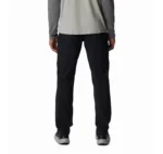 COLUMBIA SILVER RIDGE UTILITY PANT 2012952-010 - Image 4