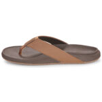 REEF THE RAGLAN CJ4019 JAVA/GUM - Image 2