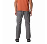 COLUMBIA SILVER RIDGE UTILITY PANT 2012952-023 - Image 2