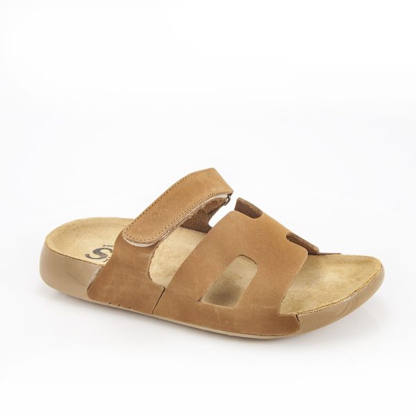 1003-17 TAN