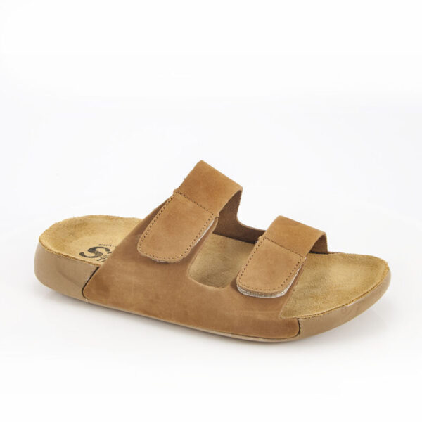 1001-17 TAN