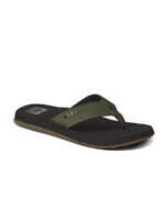 CJ4366 OLIVE