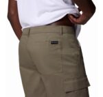 COLUMBIA RAPID RIVERS CARGO SHORT 2120661-397 - Image 3