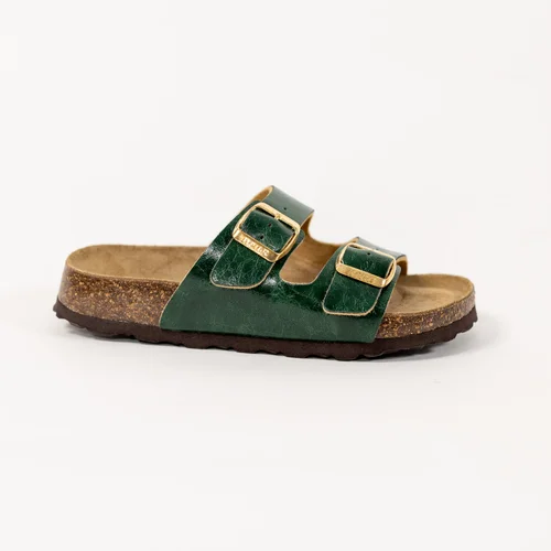 24095 kaki