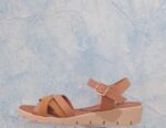 2614 TAN
