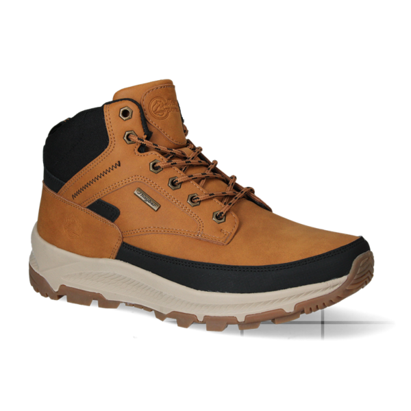 ZA52645 CAMEL