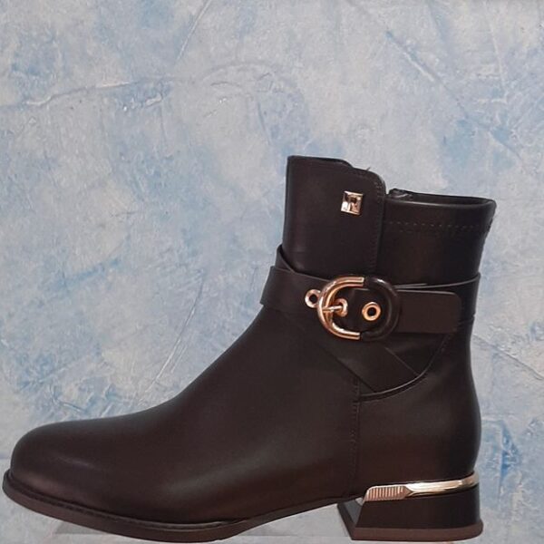 H1598 BROWN