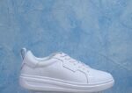 25130 WHITE