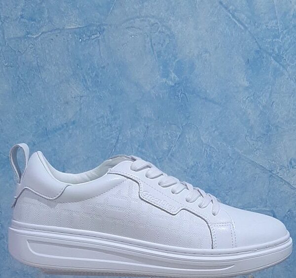 25130 WHITE